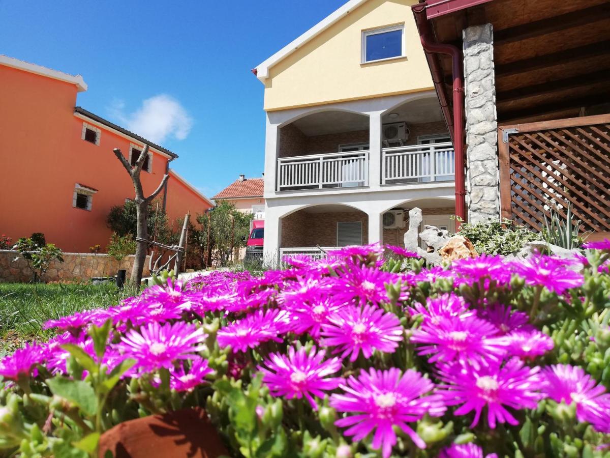 Apartmani Mala Sirena Maslenica Buitenkant foto